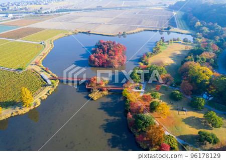 無人機攝影|秋葉美麗，可以露營的曾沼公園|滋賀縣彥根市 96178129