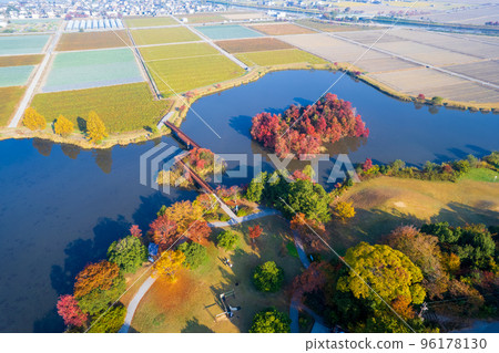 無人機攝影|秋葉美麗，可以露營的曾沼公園|滋賀縣彥根市 96178130