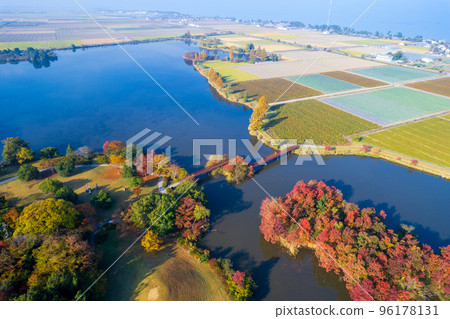 無人機攝影|秋葉美麗，可以露營的曾沼公園|滋賀縣彥根市 96178131