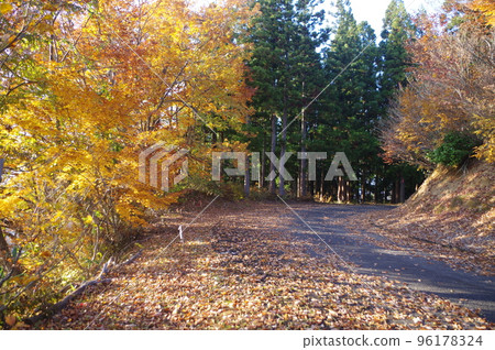 The world of Echigo-Tsumari 96178324