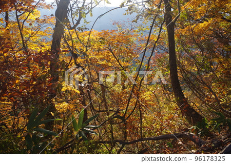 The world of Echigo-Tsumari The world of Echigo-Tsumari 96178325