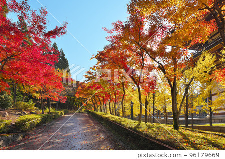Echizen Great Buddha in Autumn 96179669