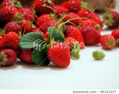 substandard strawberries for processing substandard strawberries for processing 96181037