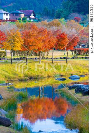 宮瀨湖的秋天 96181536