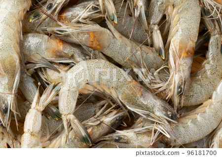 Lawn shrimp 96181700