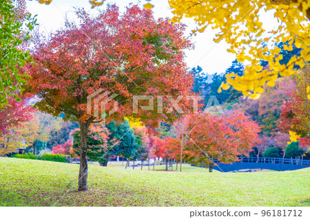 宮瀨湖的秋天 宮瀨湖的秋天 96181712