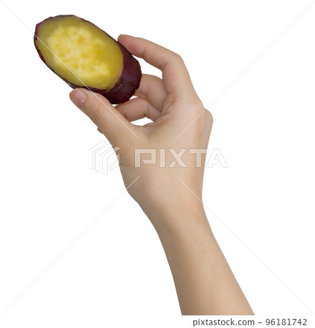 Woman's hand holding a sweet potato 96181742