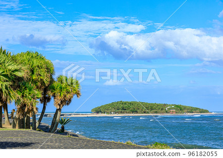 Aoshima in autumn Miyazaki City, Miyazaki Prefecture 96182055