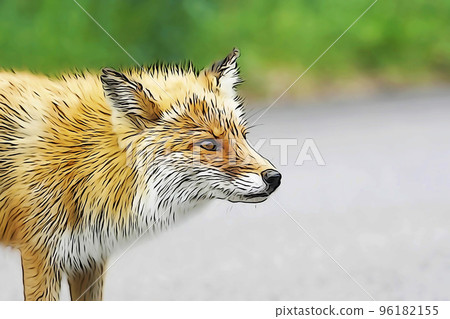 Pastel style "One red fox" illustration image Pastel style "One red fox" illustration image 96182155