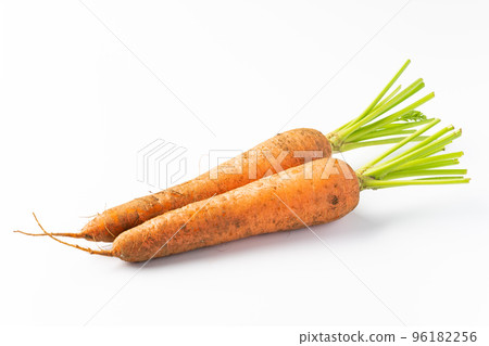 新鮮採摘的帶土胡蘿蔔 新鮮採摘的帶土胡蘿蔔 96182256