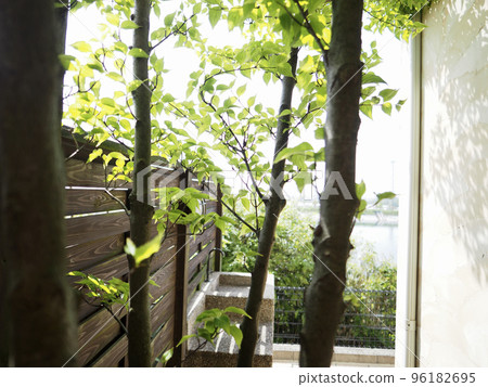 南歐式拱門的庭院，木柵欄和赤土地板的庭院，日本山茱萸樹和新鮮的綠色植物 96182695