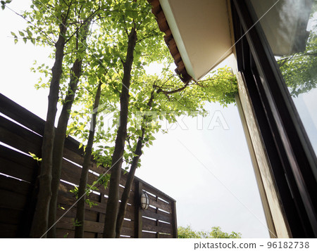 A courtyard with a Southern European-style arch door, a patio with a wooden fence and a terracotta floor, a Japanese dogwood tree and fresh greenery 96182738
