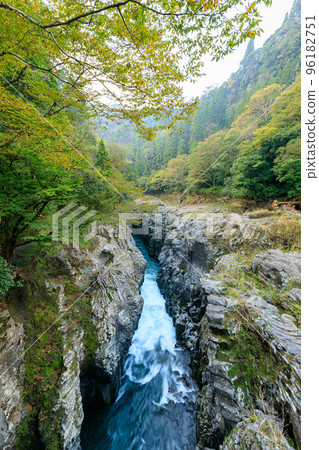 秋天的五瀨川(高千穗峽)宮崎縣高千穗町 秋天的五瀨川(高千穗峽)宮崎縣高千穗町 96182751