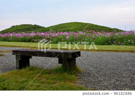 Futagoyama Burial Mound and cosmos field Futagoyama Burial Mound and cosmos field 96182886