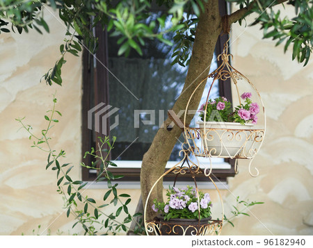 Entrance with an olive tree, hanging petunias, the season of fresh greenery Entrance with an olive tree, hanging petunias, the season of fresh greenery 96182940