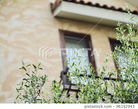 Entrance with an olive tree, hanging petunias, the season of fresh greenery 96182943