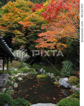 Autumn leaves of Kyoto Ohara Jurikoin 96182995