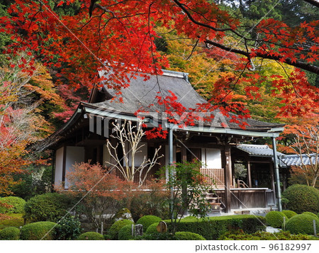 京都大原朱里園的秋葉 京都大原朱里園的秋葉 96182997