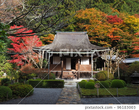 京都大原朱里園的秋葉 京都大原朱里園的秋葉 96183003