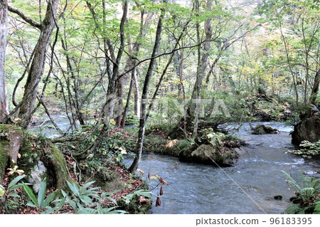 Autumn Oirase mountain stream 96183395