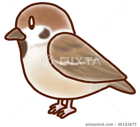 鬆散可愛的野鳥插畫麻雀 96183675