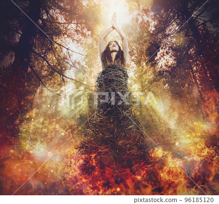 Beauty photo. Tree is a life. Forest fires kill lives. Beauty photo. Tree is a life. Forest fires kill lives. 96185120