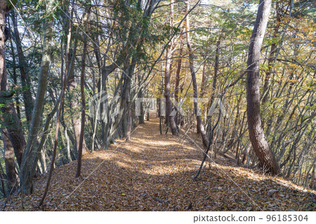 從羽子山到道之站胜山的山路(河口湖地區) 從羽子山到道之站胜山的山路(河口湖地區) 96185304