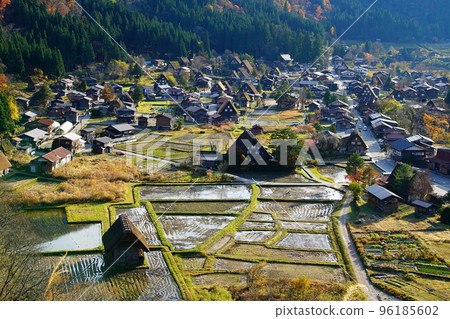 Shirakawa-go Autumn Leaves Gifu Prefecture Shirakawa-go Autumn Leaves Gifu Prefecture 96185602