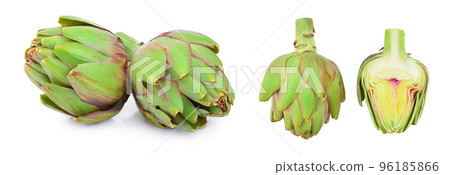 Fresh Artichokes isolated on white background closeup Fresh Artichokes isolated on white background closeup 96185866