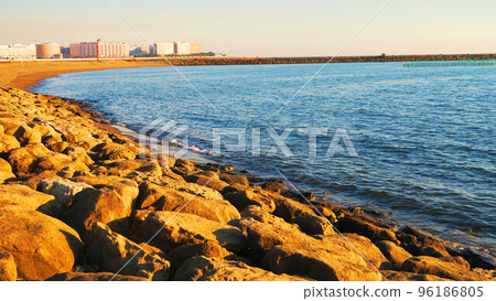 葛西臨海公園和毗鄰的葛西海濱公園(東京都江戶川區)的風景 葛西臨海公園和毗鄰的葛西海濱公園(東京都江戶川區)的風景 96186805