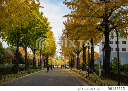 漫步在練馬區的光丘公園 96187515