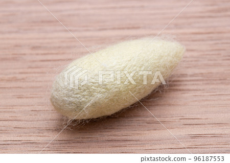 Mulberry cocoon (cocoon) Mulberry cocoon (cocoon) 96187553