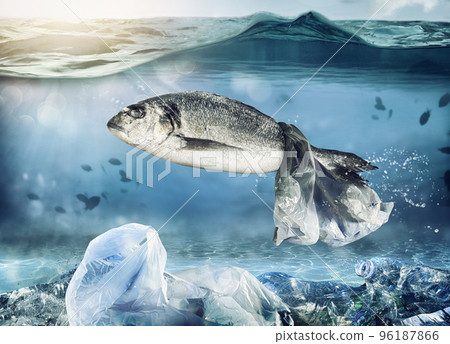 Trapped fish by a floating bag. Problem of plastic pollution under the sea concept Trapped fish by a floating bag. Problem of plastic pollution under the sea concept 96187866