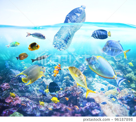 Fishes watch a floating bottle. Problem of plastic pollution under the sea concept. 96187898