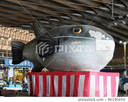 Fugu at Karato Market 96190859