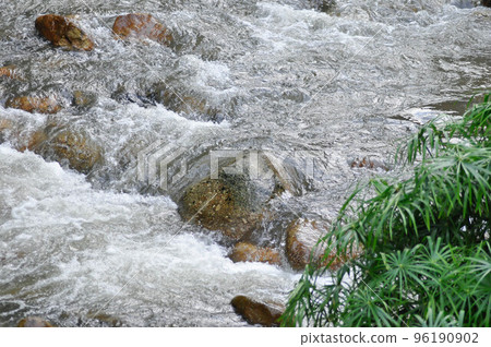 waterfall ,rock and tree or waterfall background or river 96190902