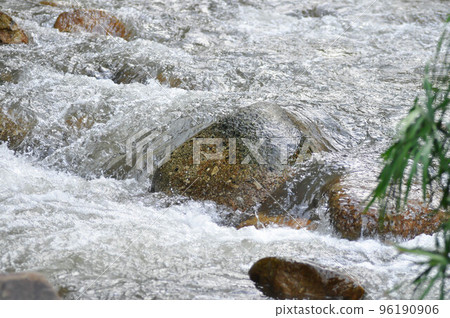 waterfall ,rock and tree or waterfall background or river waterfall ,rock and tree or waterfall background or river 96190906