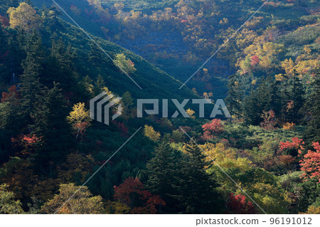 [Kamifurano Town, Hokkaido] Autumn leaves of Mt. Tokachidake 96191012