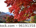 Minami Aso Autumn Leaves 96191358