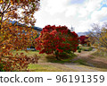 Minami Aso Autumn Leaves 96191359