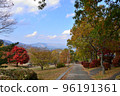 Minami Aso Autumn Leaves 96191361