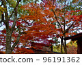 Minami Aso Autumn Leaves 96191362