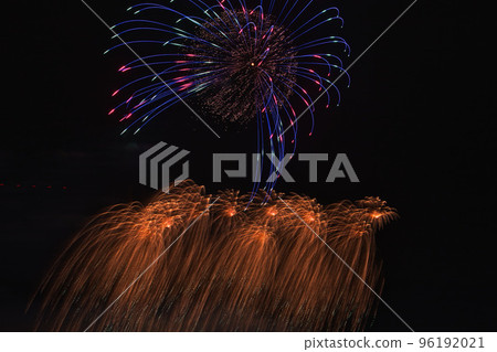 柳樹和煙花 96192021