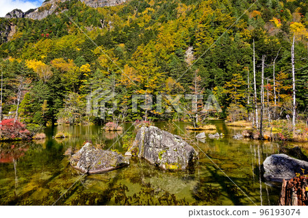 Autumn leaves of Misaki Pond - Stock Photo [96193074] - PIXTA