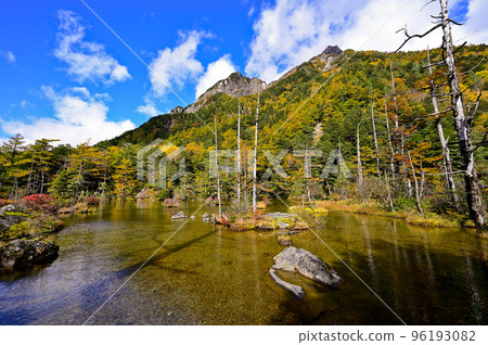 Autumn leaves of Misaki Pond Autumn leaves of Misaki Pond 96193082