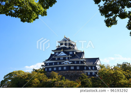 4815 Okayama Castle 4815 Okayama Castle 96193292