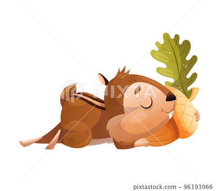 Funny Chipmunk Character with Cute Snout Sleeping with Acorn Vector Illustration 96193966