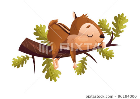 Funny Chipmunk Character with Cute Snout Sleeping on Tree Branch Vector Illustration Funny Chipmunk Character with Cute Snout Sleeping on Tree Branch Vector Illustration 96194000