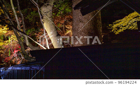 Beautiful autumn leaves Kakunodate samurai residence Odano family lit up at night Beautiful autumn leaves Kakunodate samurai residence Odano family lit up at night 96194224