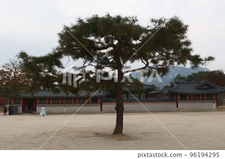 Gyeongbokgung Palace Autumn Gyeongbokgung Palace Autumn 96194295